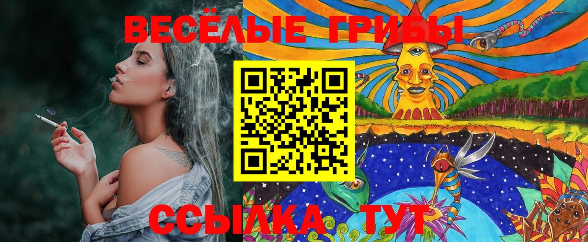 Псилоцибиновые грибы ЛСД Рубцовск