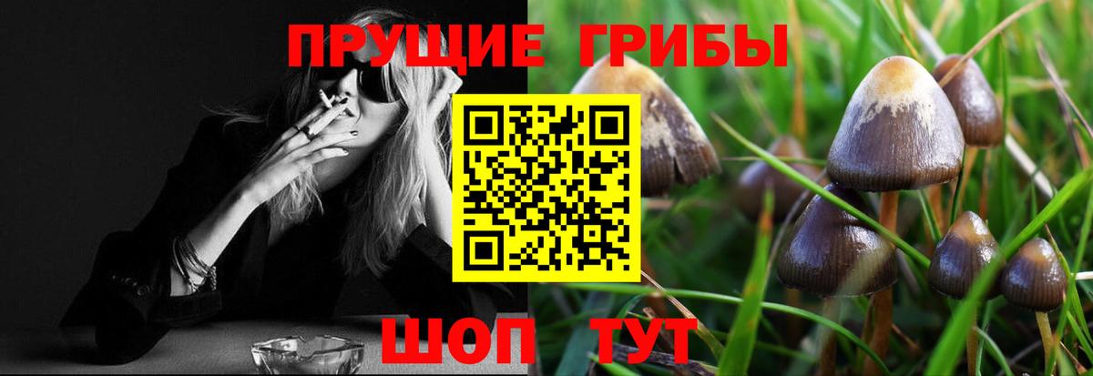 Рубцовск  хочу   Галлюциногенные грибы Psilocybe  Вход с VPN  Псилоцибиновые грибы Magic Shrooms 
